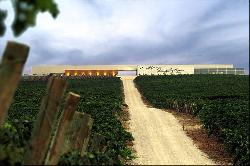 Bodega Gonzalez Byass