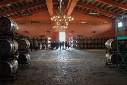 Bodega Osborne